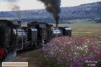 Cosmos festival 2025