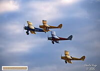 Sandstone 2025 029A0284