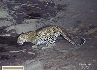 KNP 09-2025 029A6867