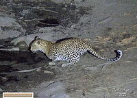 KNP 09-2025 029A6874