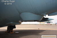 IMG 9781
