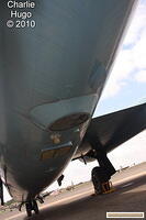 IMG 9782